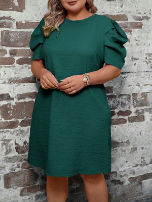 Pleated Ruffle Sleeve Single Button Back Plus Size Dress