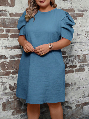 Pleated Ruffle Sleeve Single Button Back Plus Size Dress