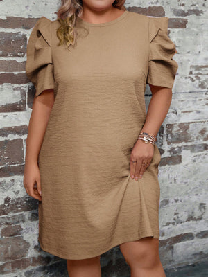 Pleated Ruffle Sleeve Single Button Back Plus Size Dress