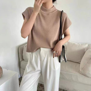 Turtle Neck Simple Chic Oversize Knitted Top