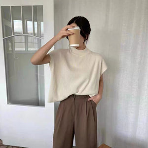 Turtle Neck Simple Chic Oversize Knitted Top