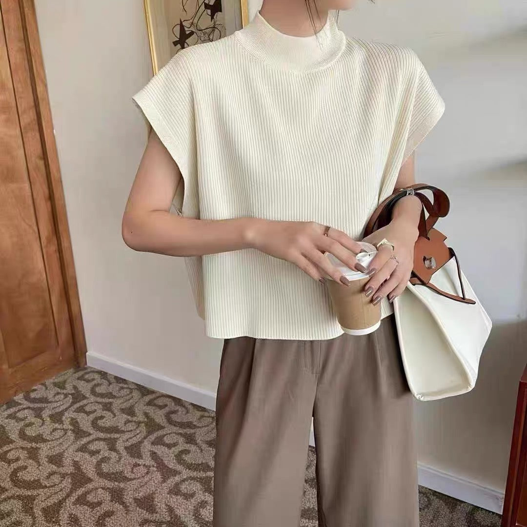 Turtle Neck Simple Chic Oversize Knitted Top