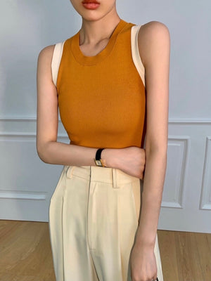 Round Neck Two Tone Sleeveless Office Knitted Top