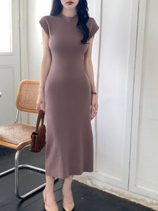 Turtle Neck Solid Elegant Knitted Dress