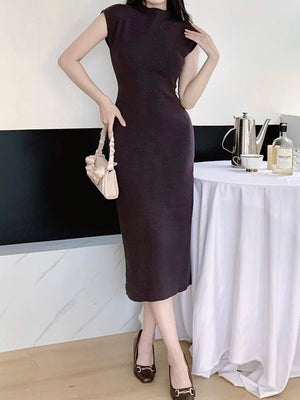 Turtle Neck Solid Elegant Knitted Dress