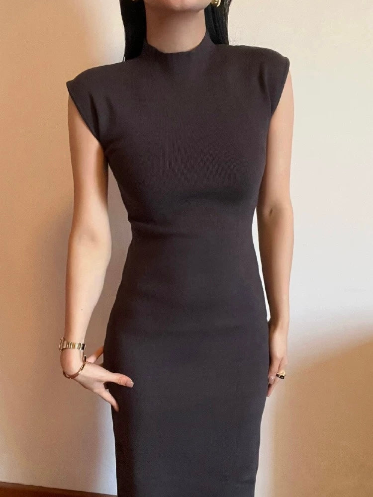 Turtle Neck Solid Elegant Knitted Dress