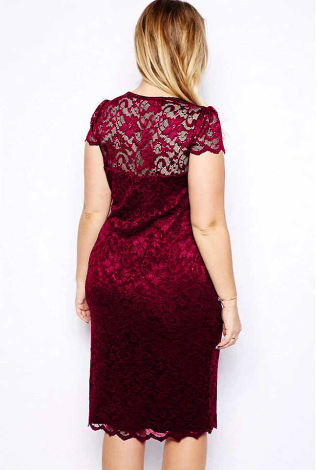 Embroidered Lace Plus Size Romantic Dress