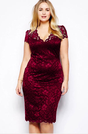 Embroidered Lace Plus Size Romantic Dress